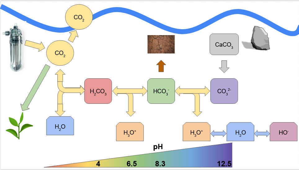 Carbonat System Aquarium.png