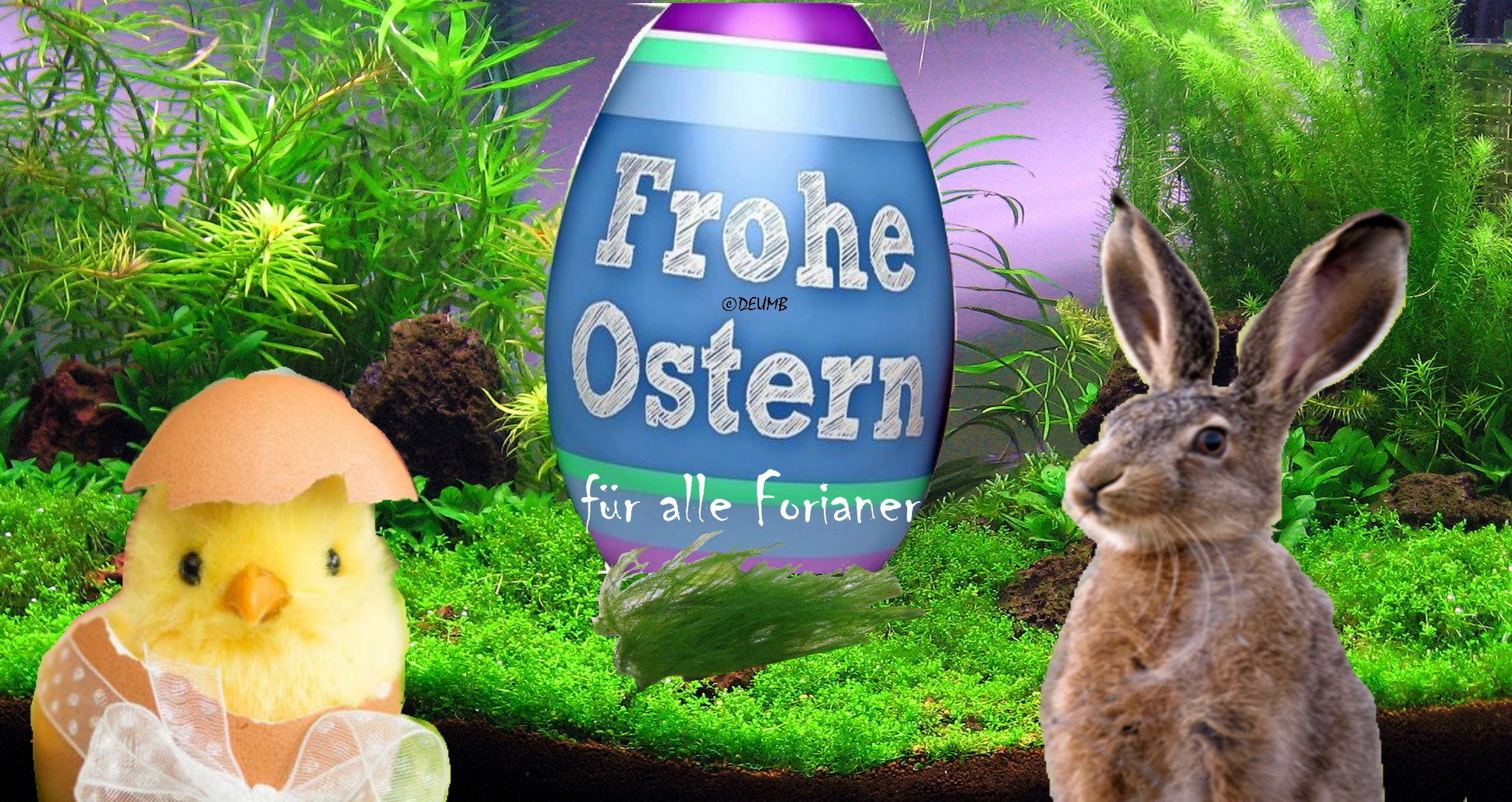 Frohe Ostern Foris von DEUMB.jpg