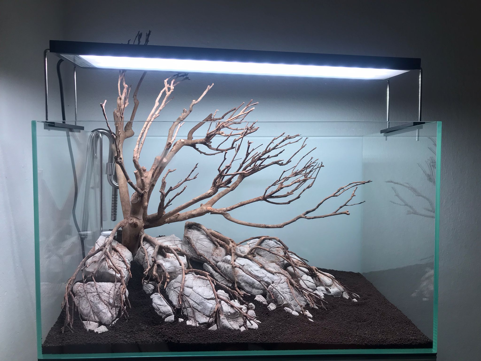 Hardscape Update.jpg