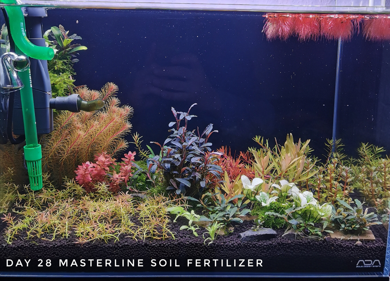 Masterline Soil Day 28 13.12.2020 Forum...jpg