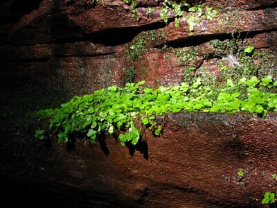 Aqua-Aufbau-Vorlage (Saufelsen) 014_800x600.jpg