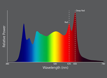 spectrum_x8_547x400.jpg