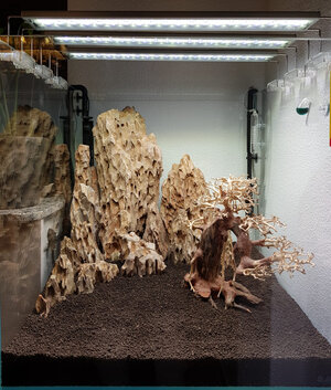 Hardscape 11.01.2023-1.jpg