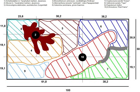 Aquarien-Pflanzplan, 100x50.jpg