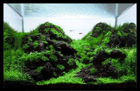 aquascape-215-front-4.jpg