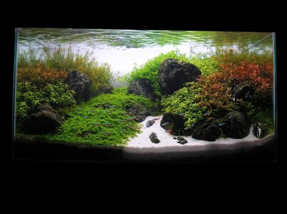 aquascape-98-front-1.jpg