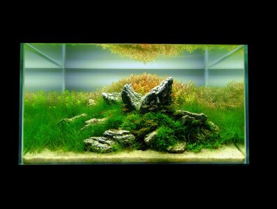 aquascape-214-front-6.jpg