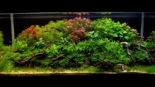 aquascape-237-front-6.jpg