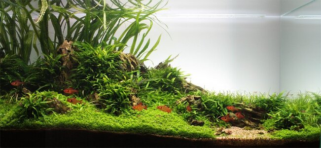 aquascape-262-front-1.jpg