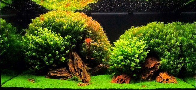 aquascape-198-front-5.jpg