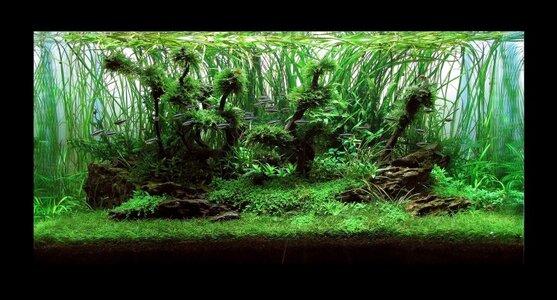 aquascape-224-front-8.jpg