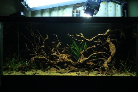 aquascape-174-otherb-3.jpg