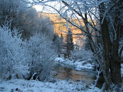 Schnee und Eis im Schwarzbachtal Jan.09 051_1067x800.jpg