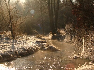 Schnee und Eis im Schwarzbachtal Jan.09 112_1067x800.jpg