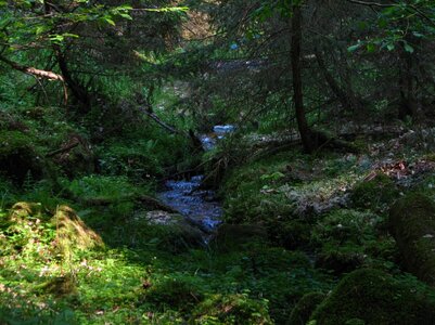 Schwarzbachseitental 026_1067x800.jpg