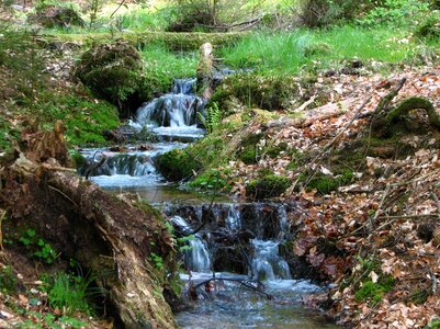 Schwarzbachseitental 035_1067x800.jpg