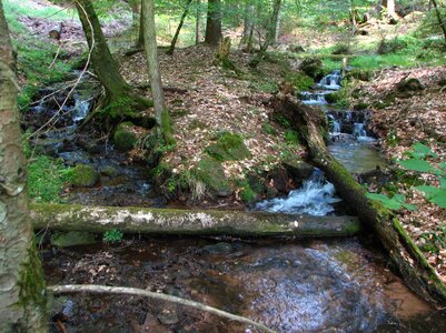 Schwarzbachseitental 036_1067x800.jpg