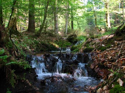 Schwarzbachseitental 037_1067x800.jpg