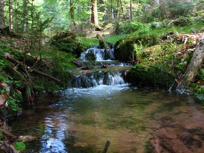 Schwarzbachseitental 038_1067x800.jpg