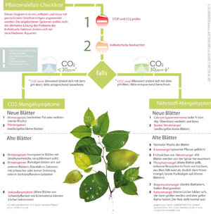 plant deficiency deutsch.jpg