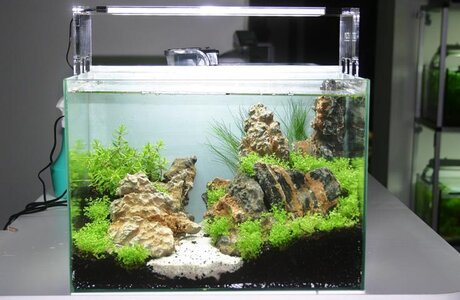 Mini M aquasky 1.JPG