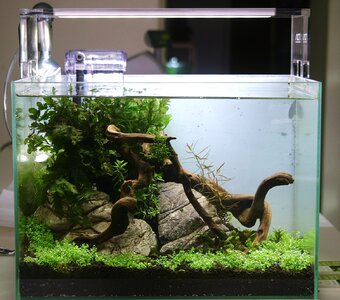 Mini M aquasky 2.JPG