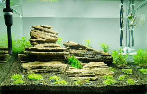 20121010-Aquarium-DSC_1141-Bearbeitet.jpg