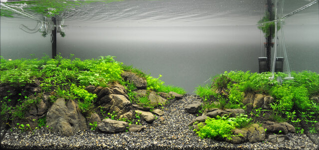 SelvaHardscape_081212.jpg