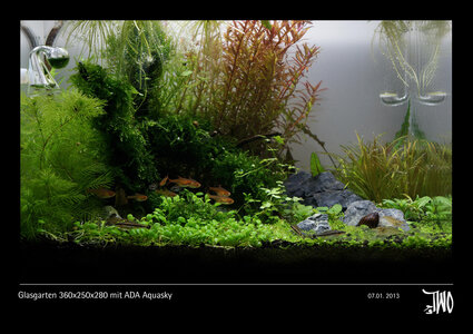 Glasgarten 360x250x280 mit ADA Aquasky Bild 03a.jpg