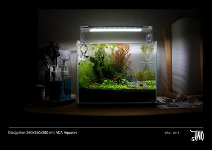 Glasgarten 360x250x280 mit ADA Aquasky Bild 02a.jpg