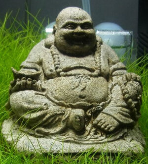 buddah.jpg