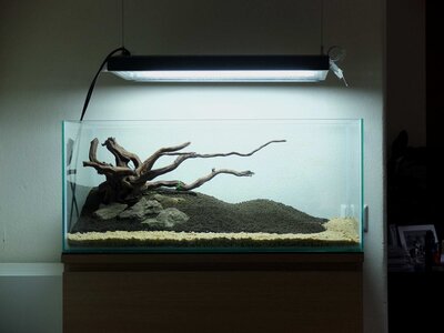 hardscape 2.jpg