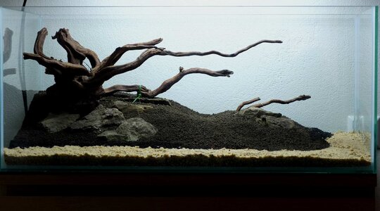 Hardscape 4.jpg