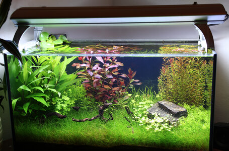 aquarium002.jpg