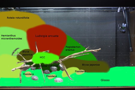 Aquarium (Riverside) Hardscape mit Pflanzen zeichnung.JPG