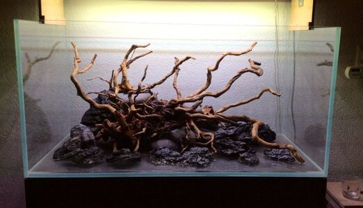 Aquascape jan 2014.jpg