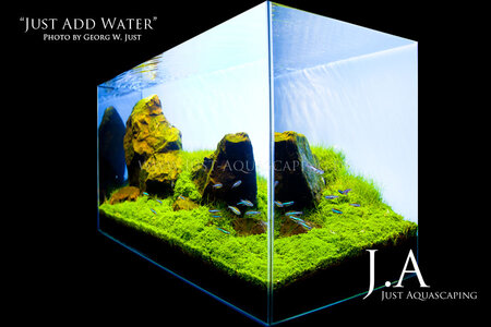 JustAddWater20140422.jpg