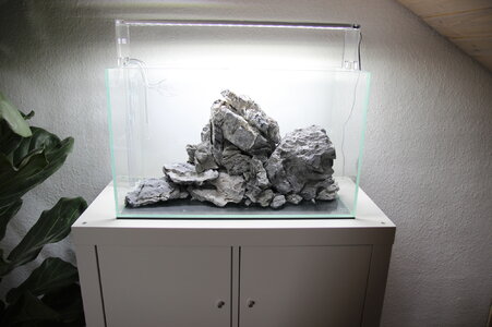 2014-04-23_Hardscape1.JPG