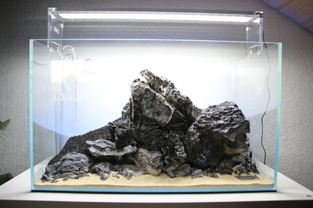 2014-04-24_Hardscape3.JPG