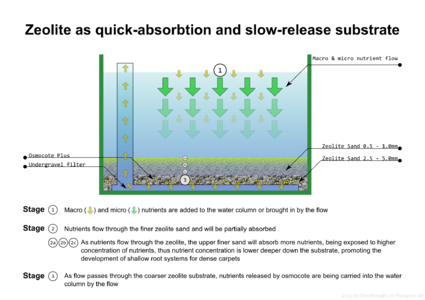 Zeolite_as_quick-absorption_and_slow-release_substrate.png