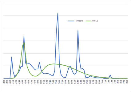 T5tropic-XM-L2.png