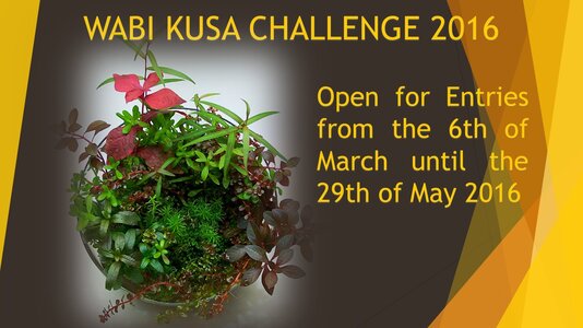 WABI KUSA CHALLENGE 2016 Design final.jpg