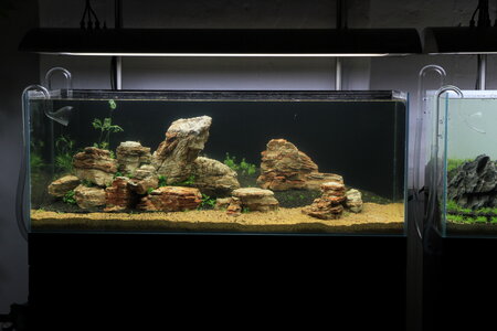 aquasabi_04_resize.jpg