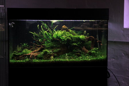 aquasabi_06_resize.jpg