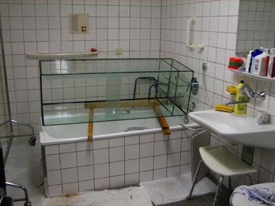 Psychiatrie-Becken nach dem Putzen 007_1400x1050.jpg