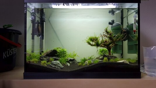 aquascape bearbeitet.jpg