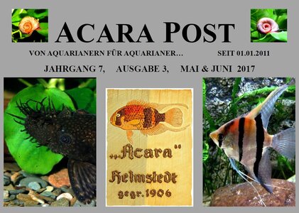 3.Acara-Post-Mai-Juni-2017.jpg