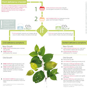 plant deficiency labeled_Mar15_2010.jpg