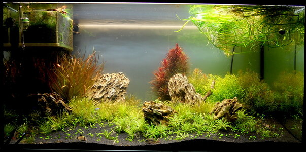 250L_rescape_resize.jpg