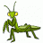 Mantis